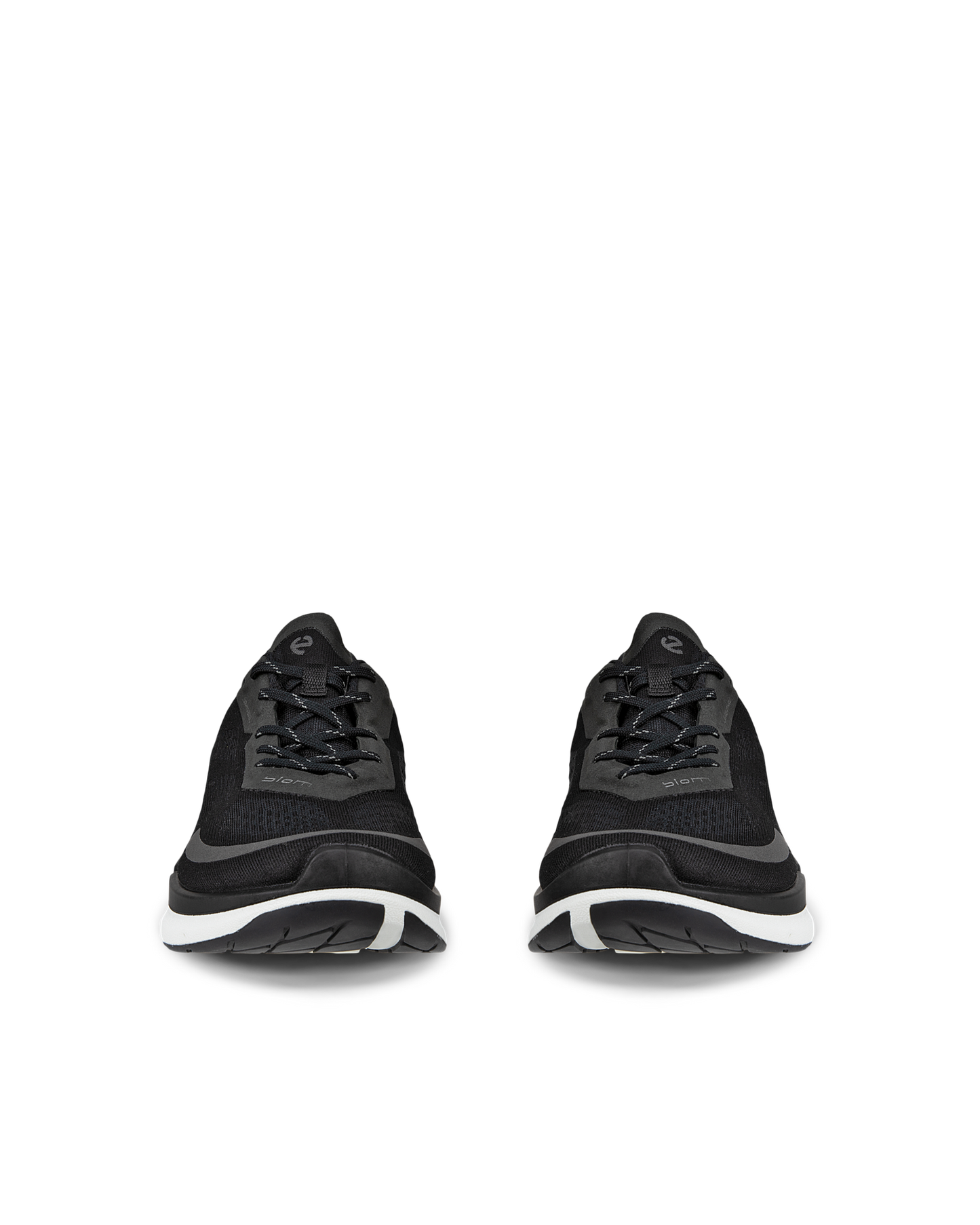 BIOM 2.2