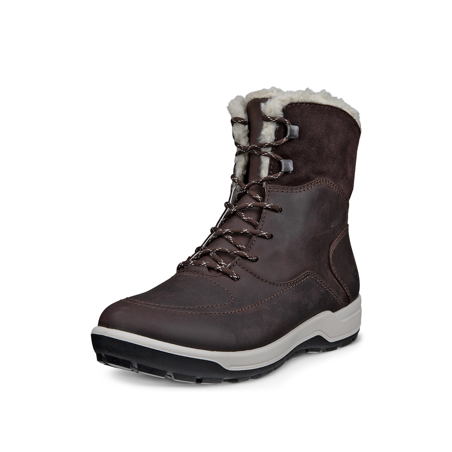 832233-51869 ECCO-DAME