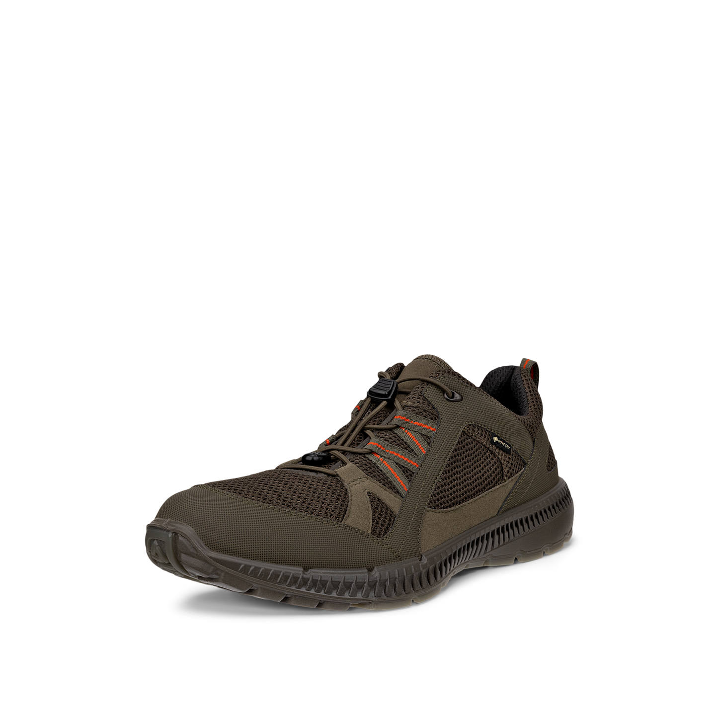 843064 55894 ECCO GORETEX HERR