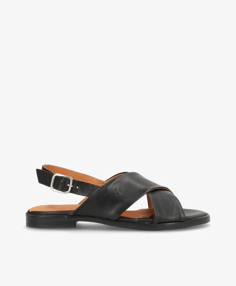 SD4015 BLACK
