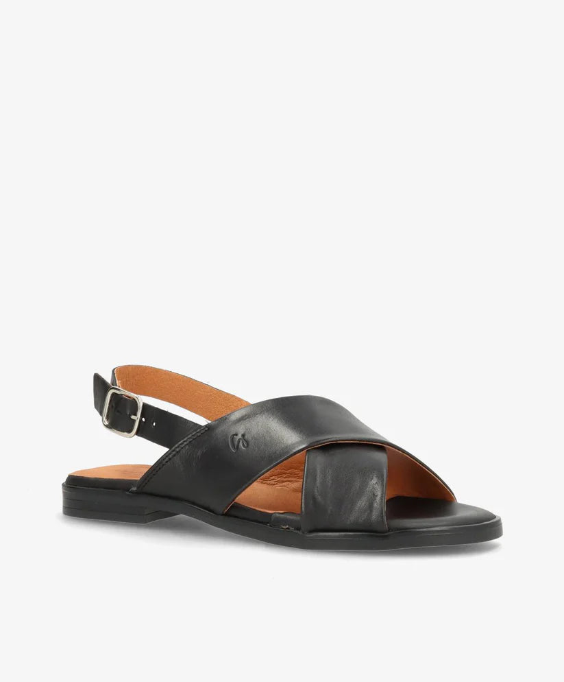 SD4015 BLACK