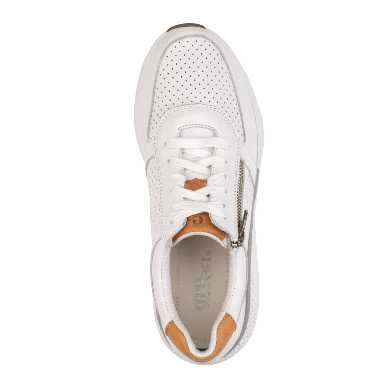 DOLPHIN SNEAKER W. LACE AND ZI