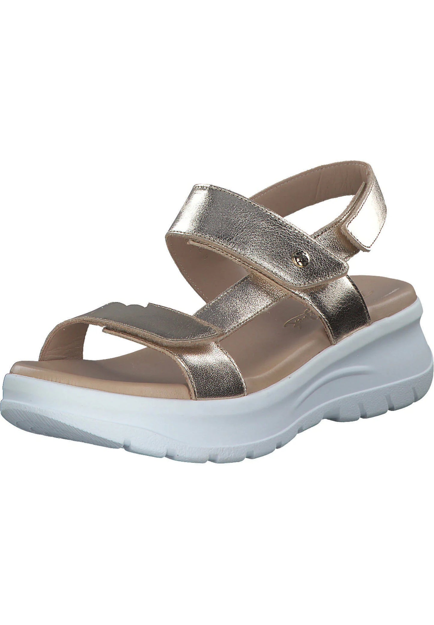 NOOR SHINE B1 NAPA ORO