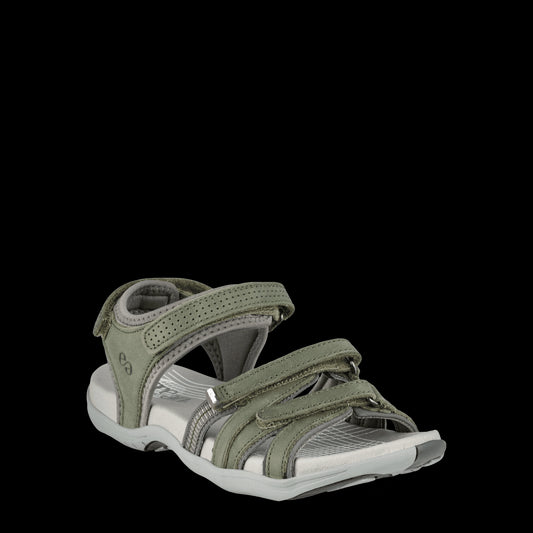 CORSICA OLIVE