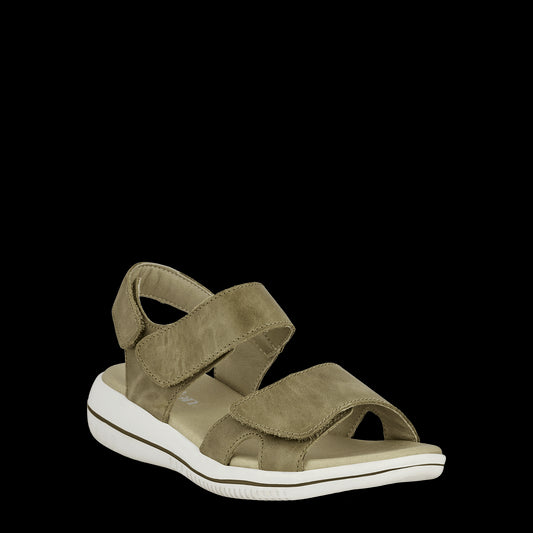 LEAF OLIVE