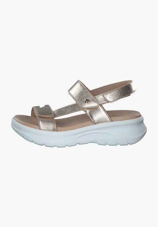 NOOR SHINE B1 NAPA ORO