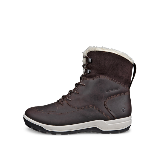 832233-51869 ECCO-DAME