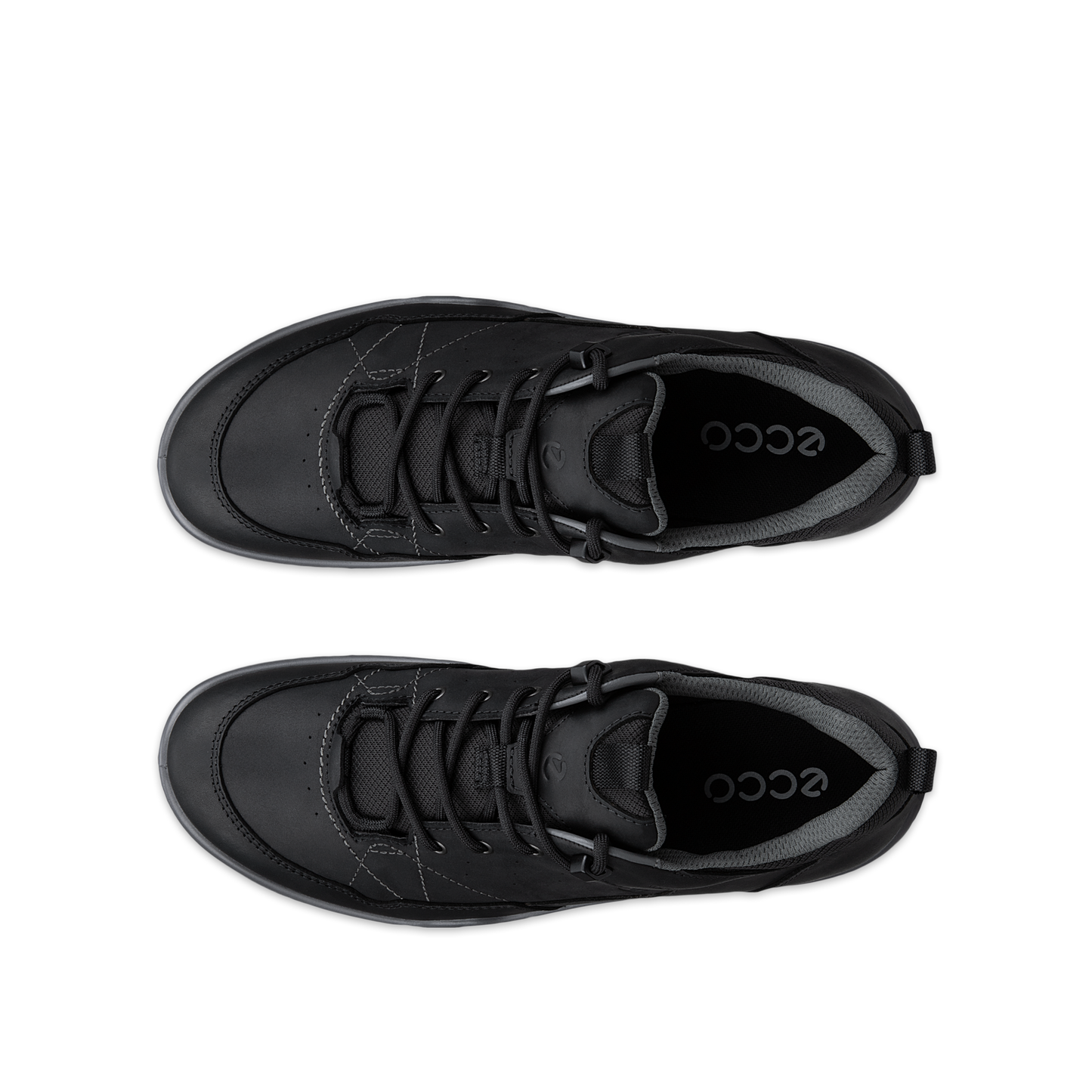 855604 52052 RECEPTOR BLACK HE