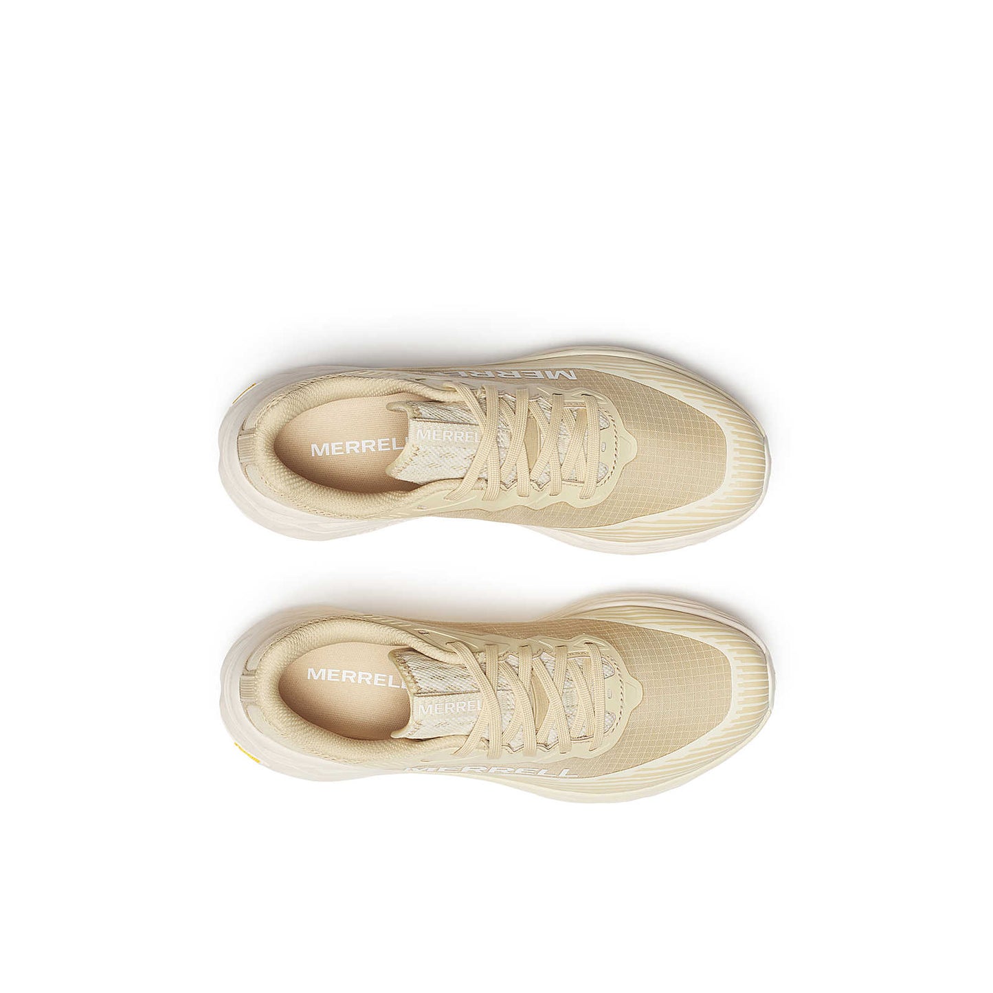 J00003277  ALMOND BROWN  DAME