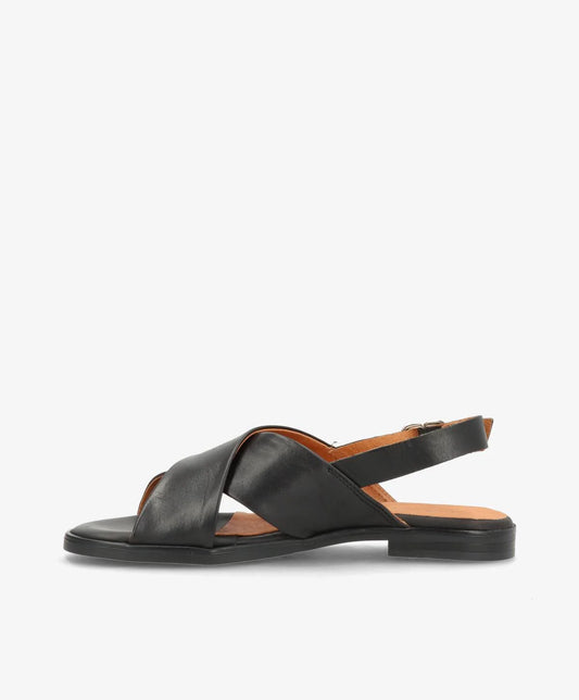 SD4015 BLACK
