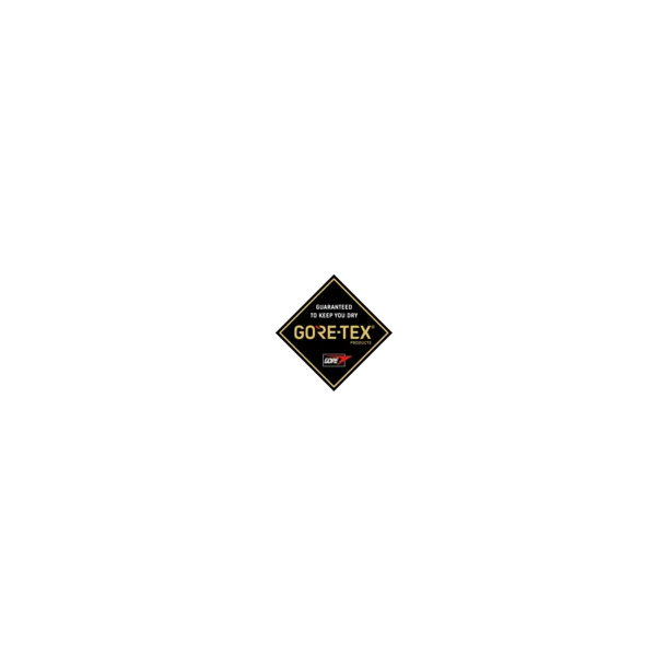 ARTEMIS GTX