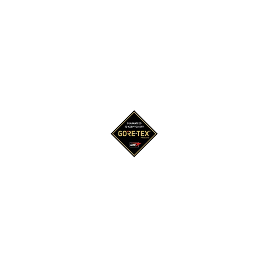 ARTEMIS GTX