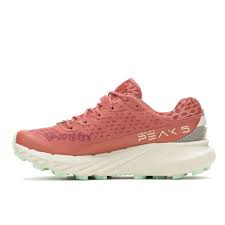 WOMENS AGILITY PEAK 5 GTX