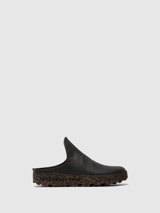 CLAY L