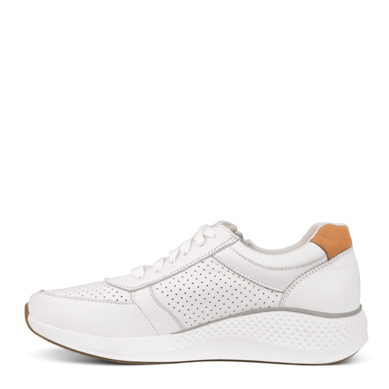 DOLPHIN SNEAKER W. LACE AND ZI